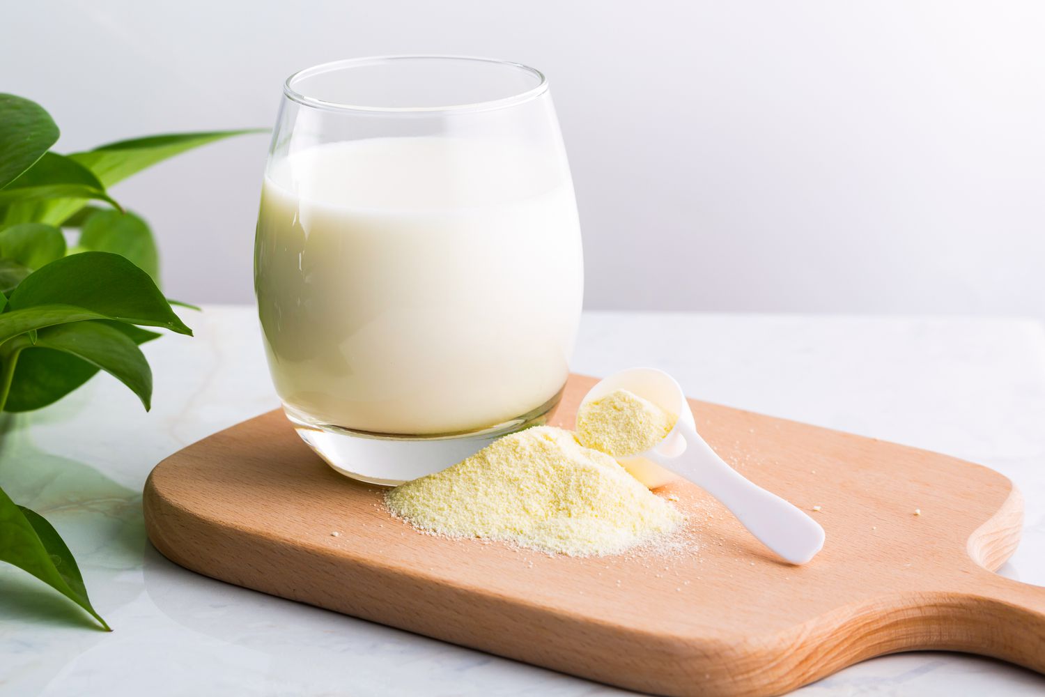 Whole & Skimmed Milk Powder